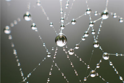Netzwerk